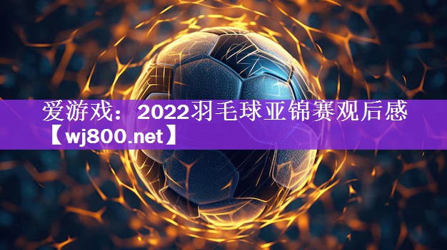 爱游戏：2022羽毛球亚锦赛观后感