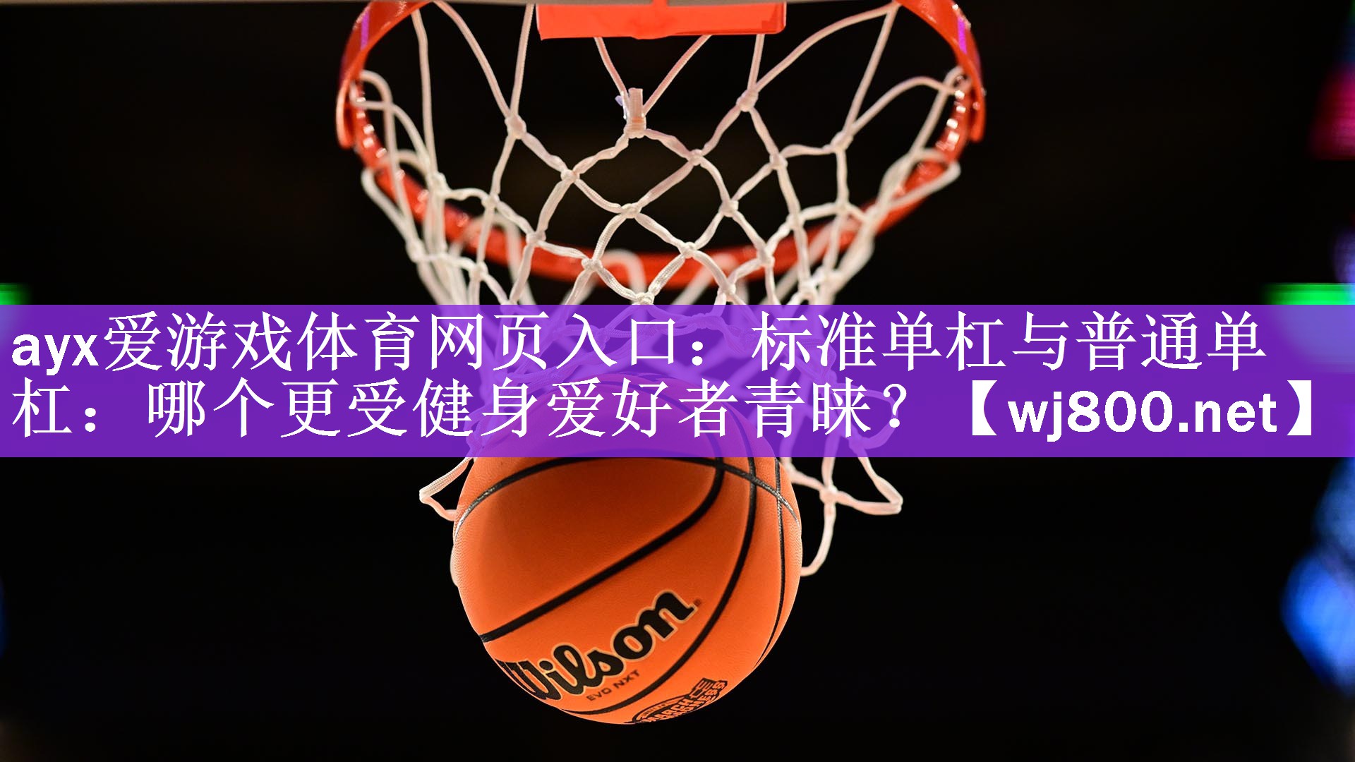 ayx爱游戏体育网页入口：标准单杠与普通单杠：哪个更受健身爱好者青睐？